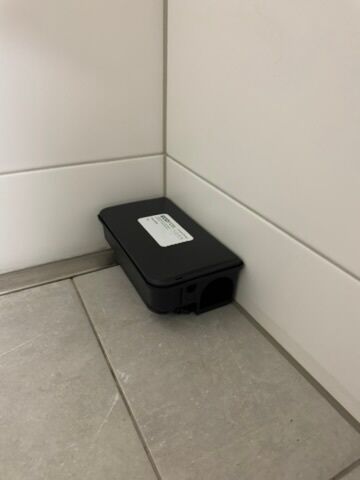 ratten im haus kammerjaeger zurich