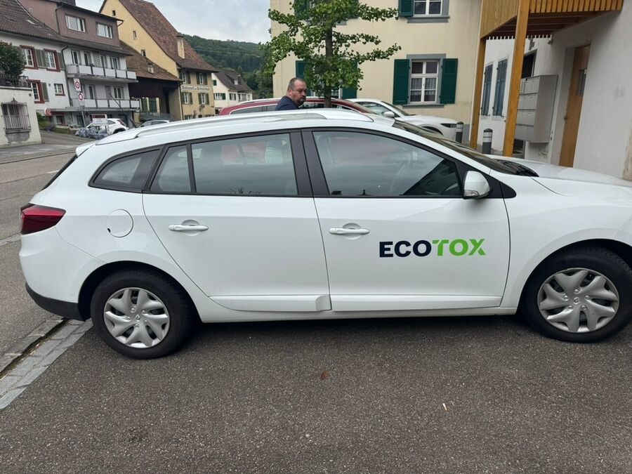 asiatische hornusse entfernen ecotox