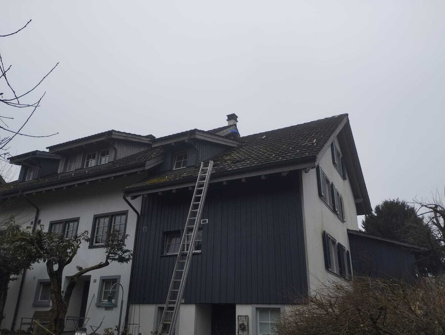 Schädlingsbekämpfung