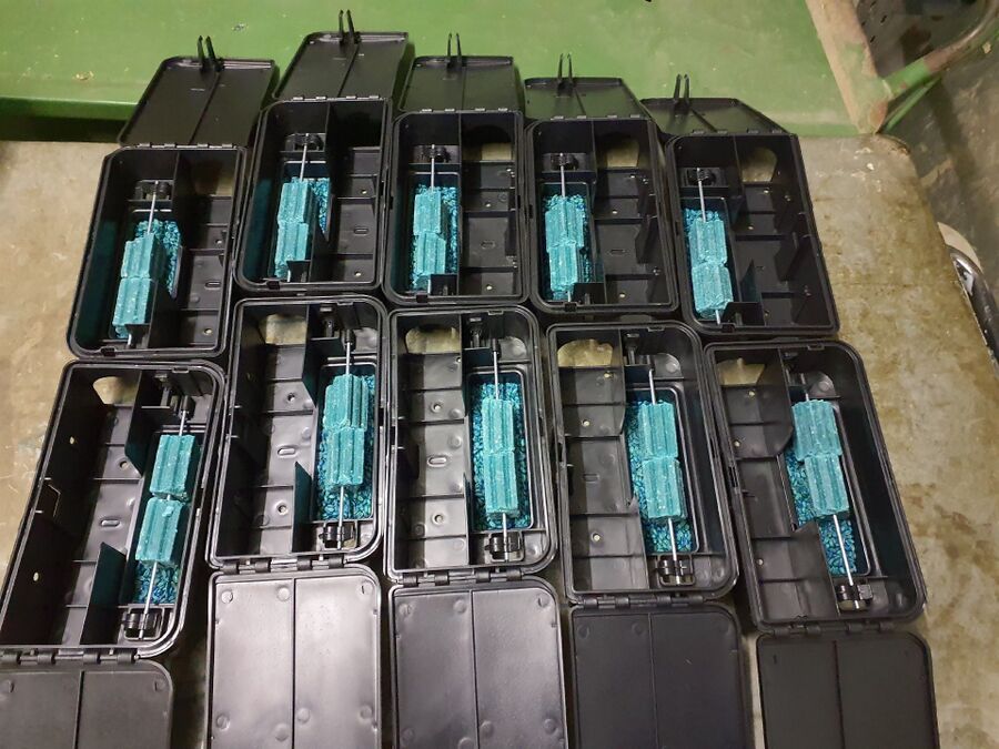 Ratten_Bekaempfung (230).jpeg