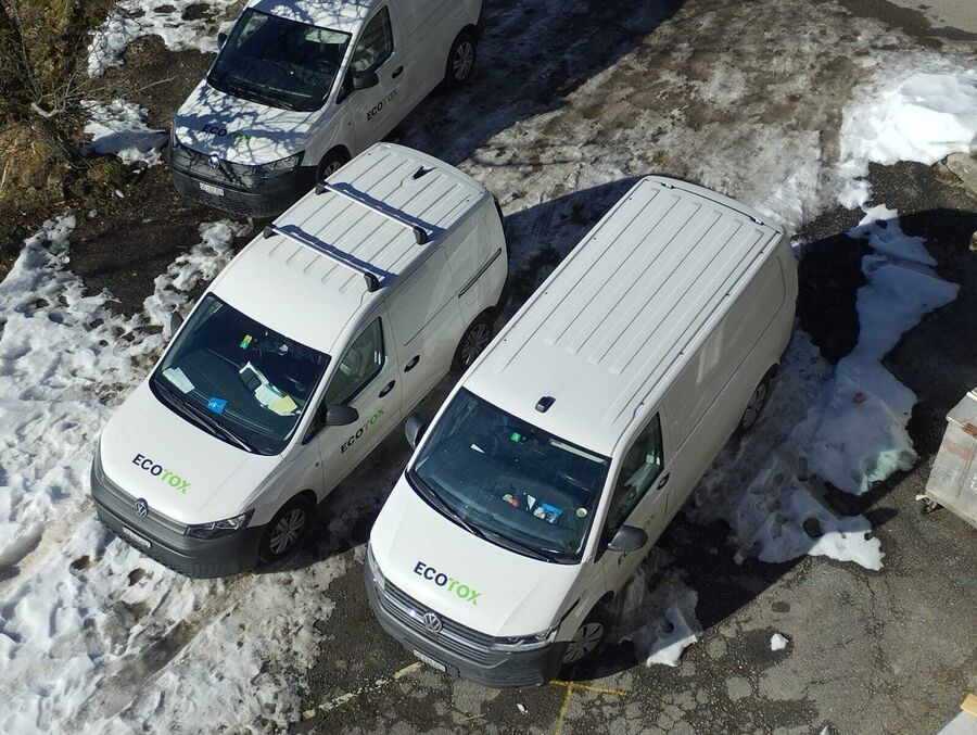 Ecotox Gmbh Kammerjaeger Schaedlingsbekaempfung Aarau