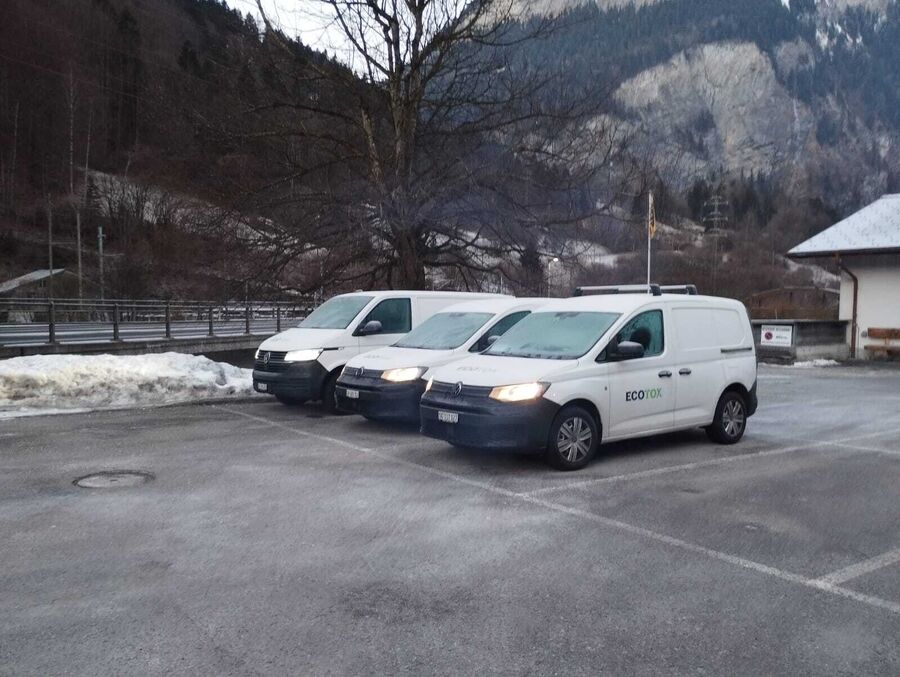 Ecotox Gmbh Kammerjaeger Schaedlingsbekaempfung ameisen