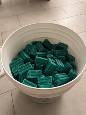 Lutte antiparasitaire Sonvilier