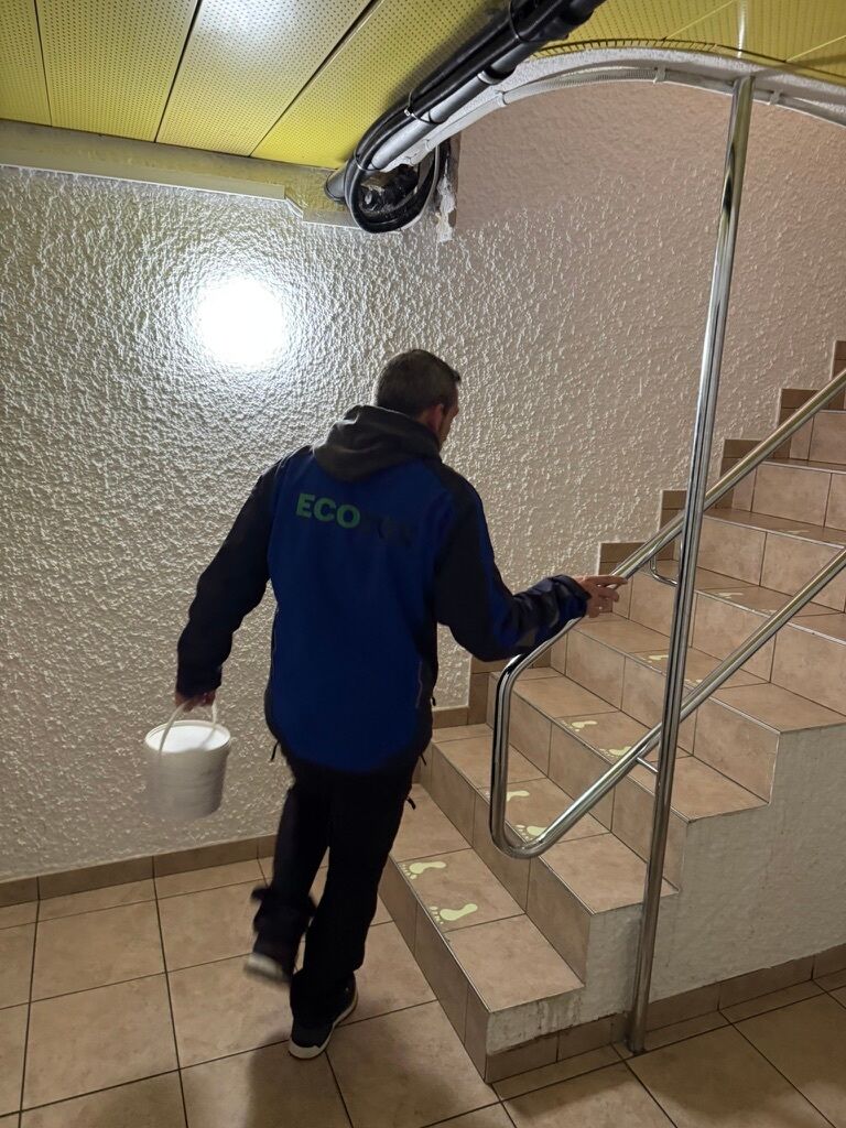 Lutte antiparasitaire Bremgarten bei Bern