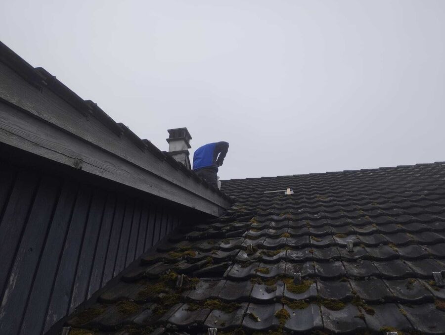 Lutte antiparasitaire Leytron