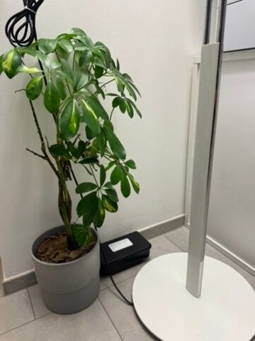 Lutte antiparasitaire