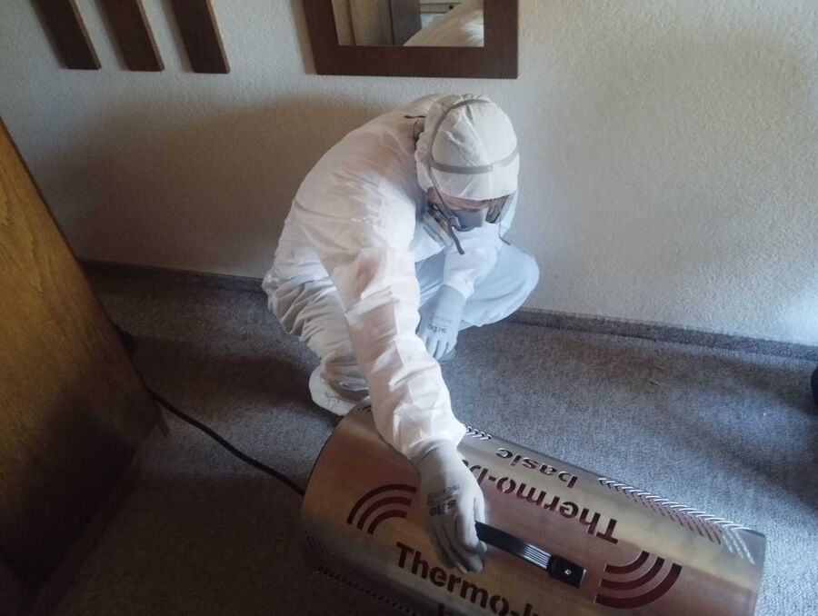 Dératiseur Buchholterberg