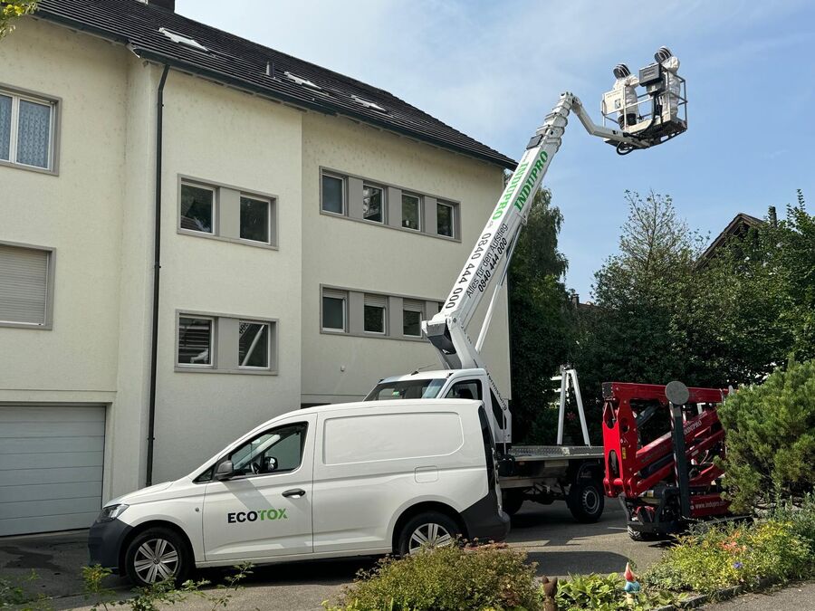 Lutte antiparasitaire Beromünster