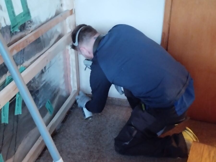 Lutte antiparasitaire Egolzwil