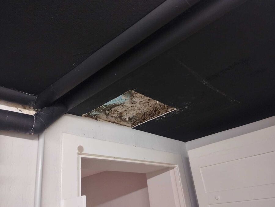 Lutte antiparasitaire Hasle (LU)