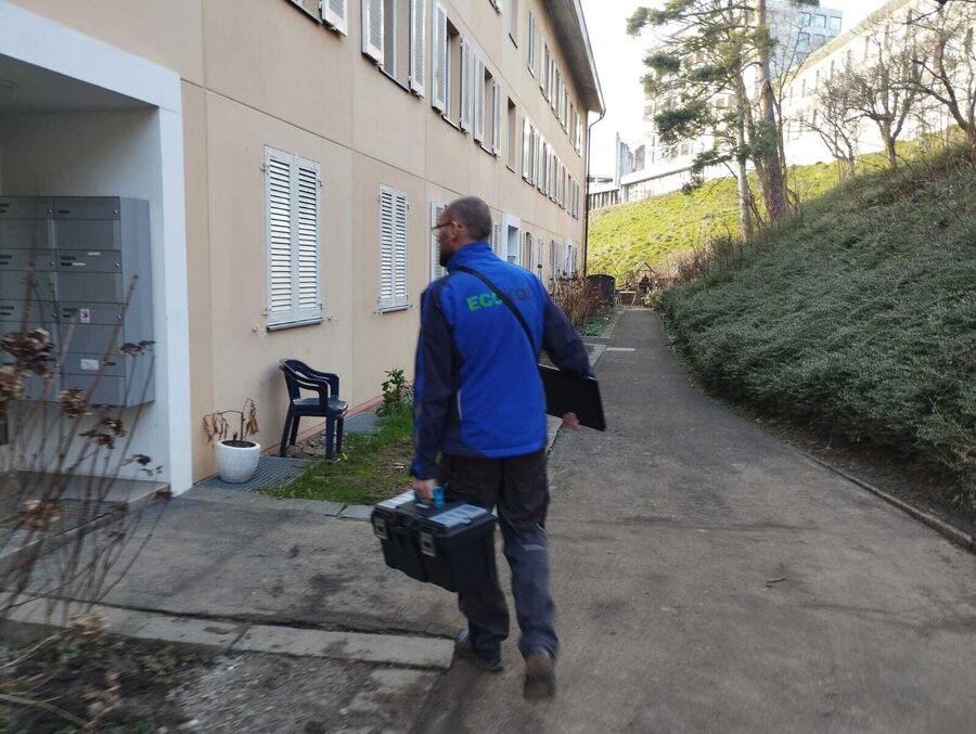 Lutte antiparasitaire Tamins