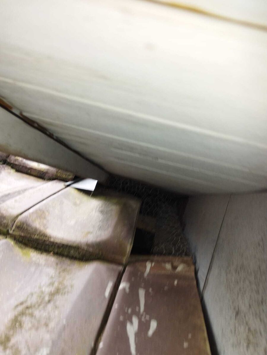 Lutte antiparasitaire Trin