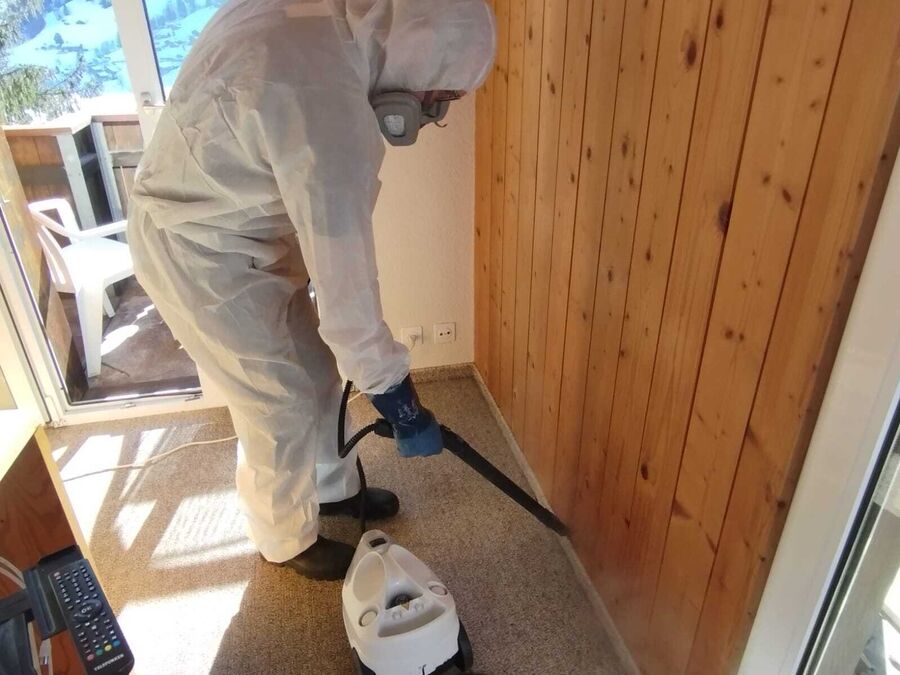 Lutte antiparasitaire Deisswil bei Münchenbuchsee