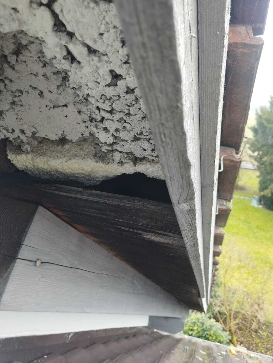 Lutte antiparasitaire Gontenschwil