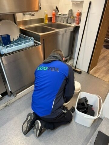 Dératiseur Bättwil