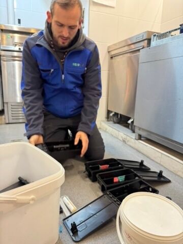 Lutte antiparasitaire Hauteville