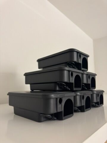 Lutte antiparasitaire Kestenholz