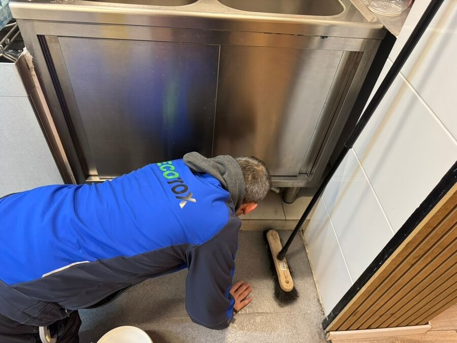 Dératiseur Oberbuchsiten