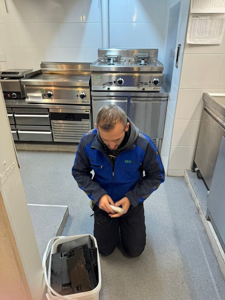 Lutte antiparasitaire Treyvaux