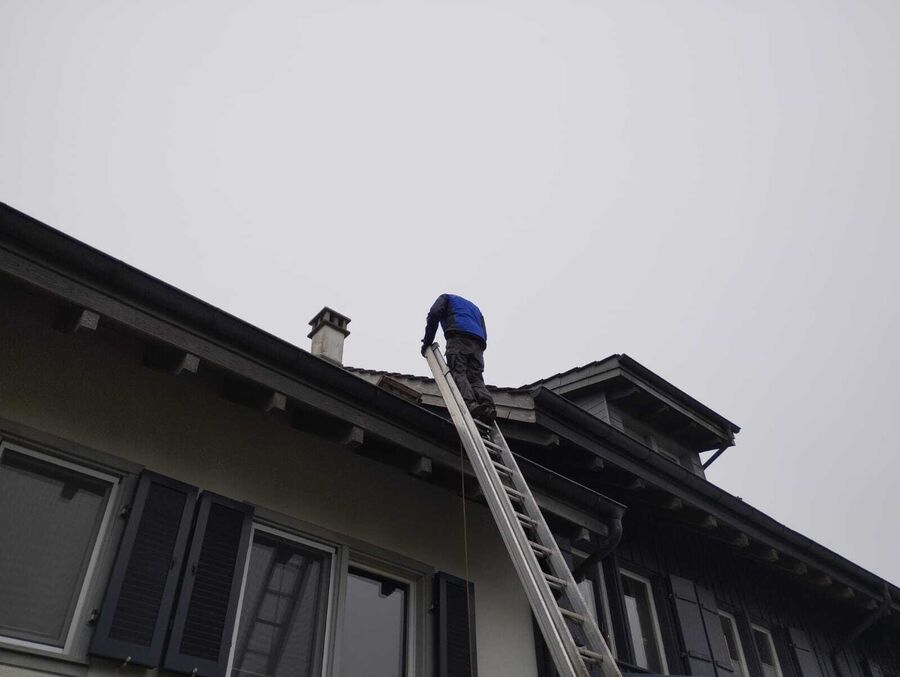 Lutte antiparasitaire Marbach (SG)