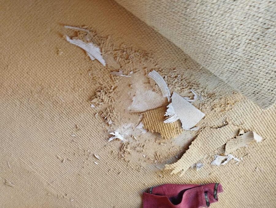 Lutte antiparasitaire Mosnang