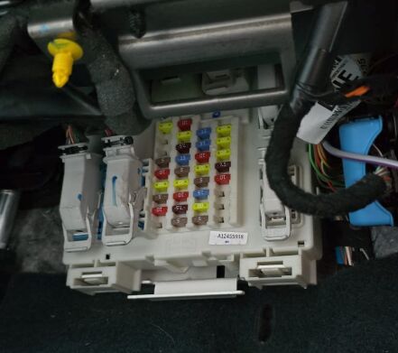 Lutte antiparasitaire Steinach