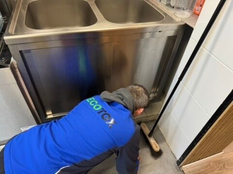 Lutte antiparasitaire Beggingen