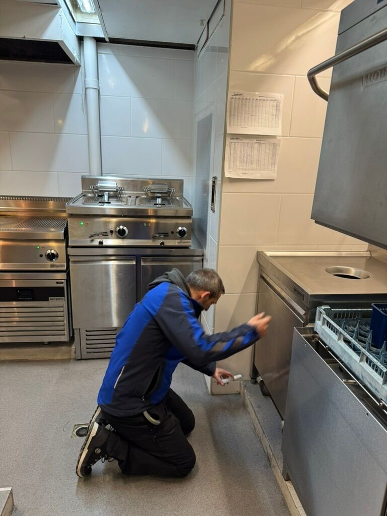 Dératiseur Dietikon