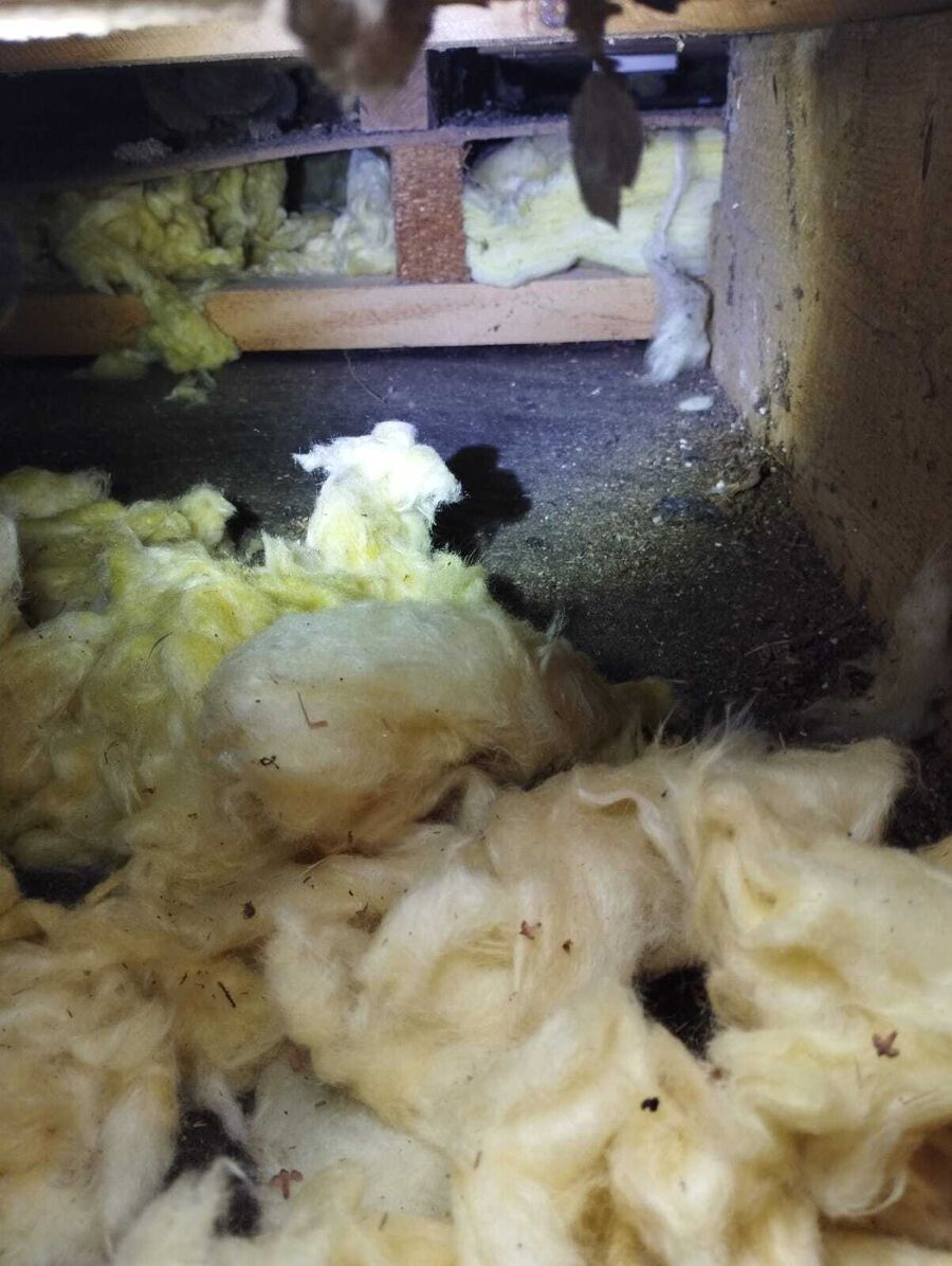 Lutte antiparasitaire Wald (AR)