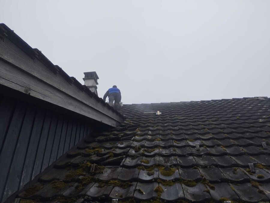 Lutte antiparasitaire Henggart