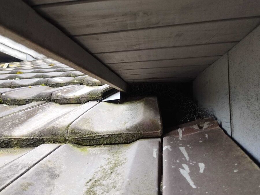 Lutte antiparasitaire Henggart