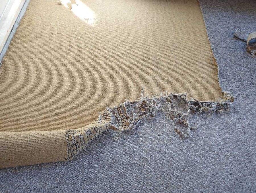 Lutte antiparasitaire