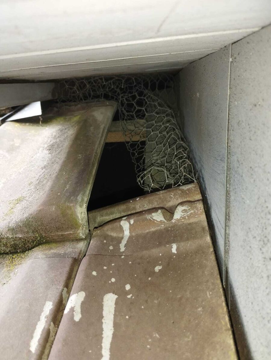 Lutte antiparasitaire Wald