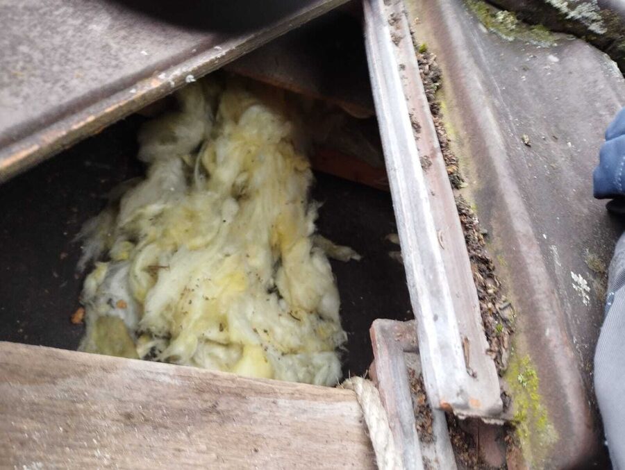 Lutte antiparasitaire Wald