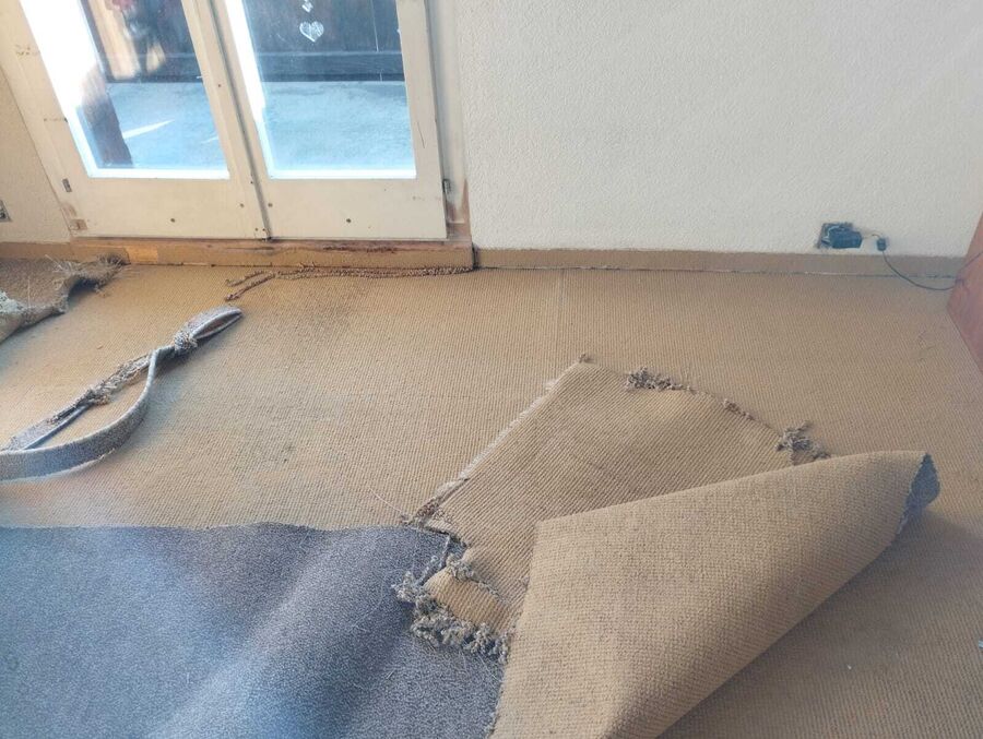 Lutte antiparasitaire Wasterkingen