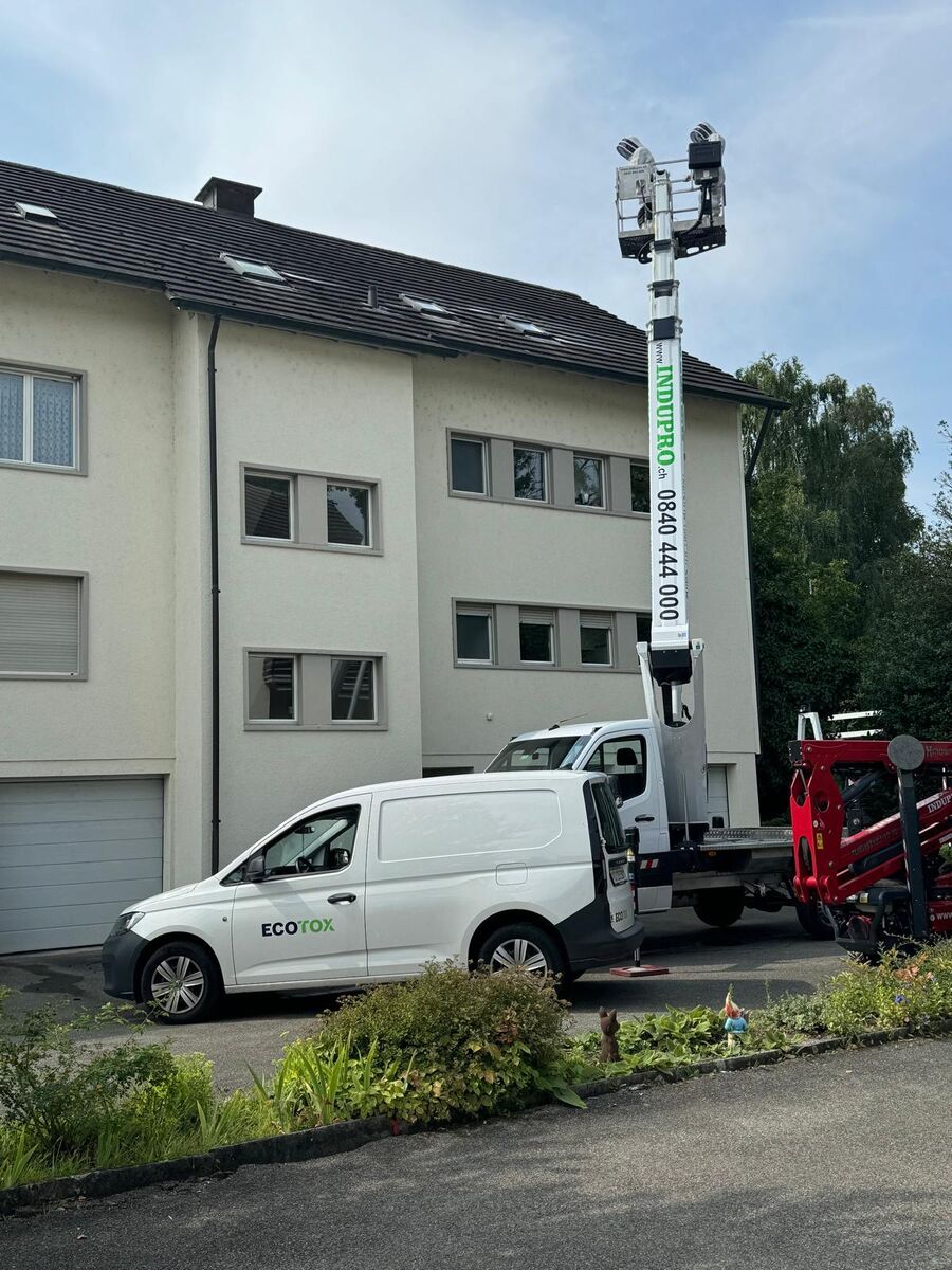 Lutte antiparasitaire Küttigen