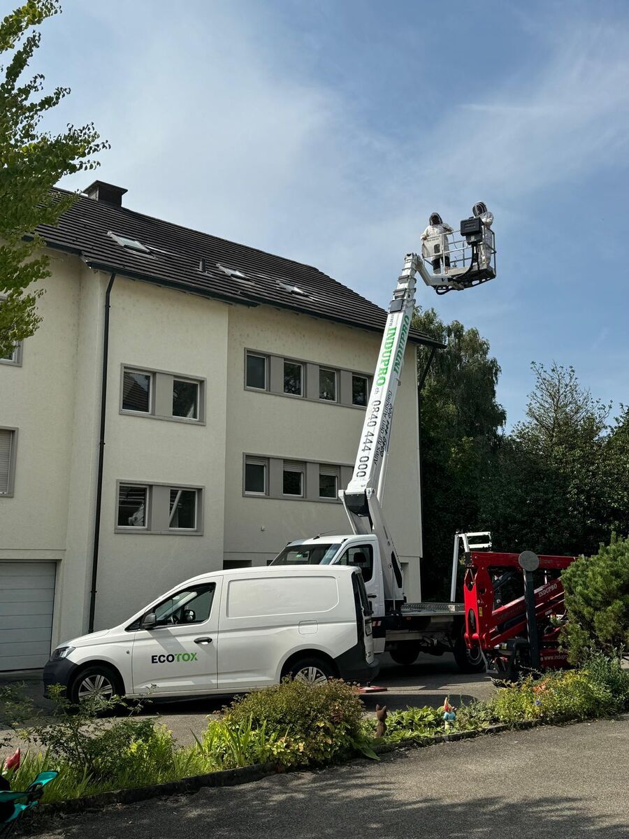 Lutte antiparasitaire Aarwangen