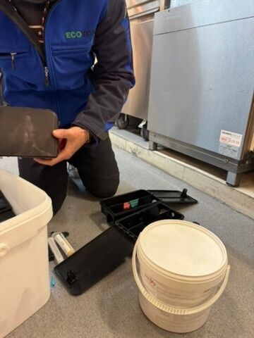 Dératiseur Zofingen