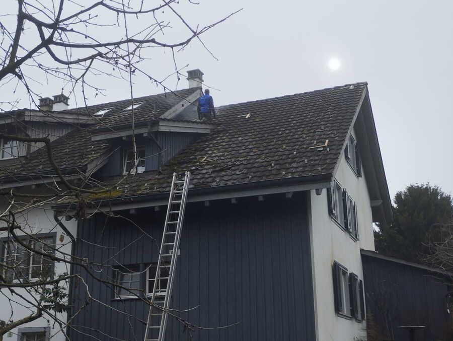 Lutte antiparasitaire Frenkendorf
