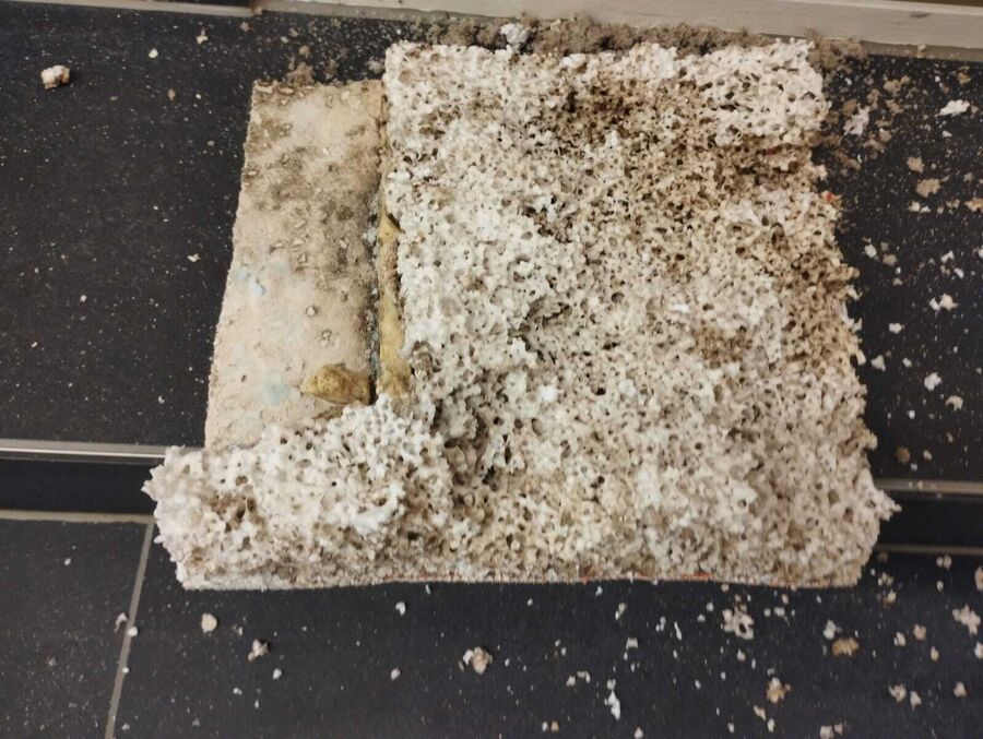 Lutte antiparasitaire Rümlingen