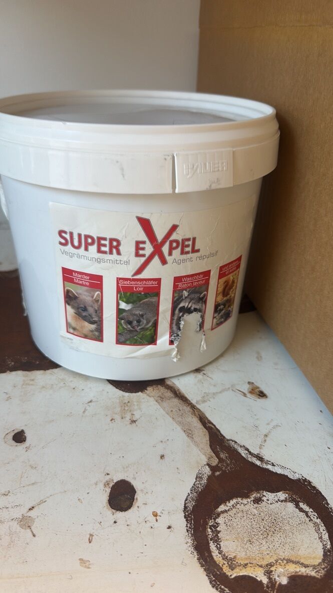 Lutte antiparasitaire Kandersteg