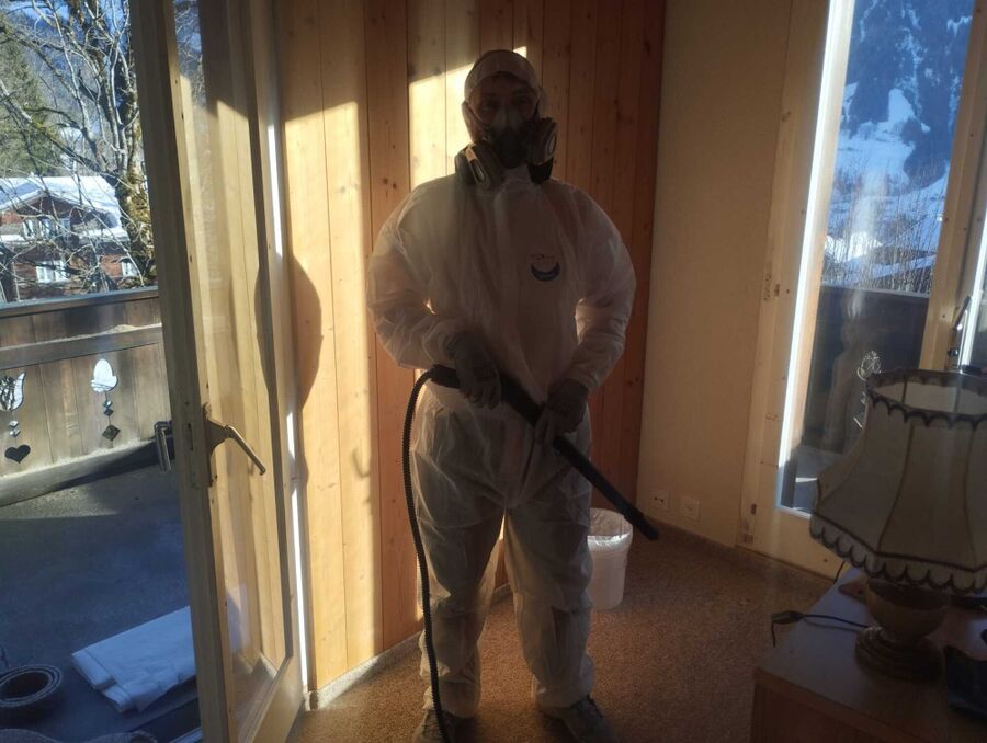 Lutte antiparasitaire Bellmund