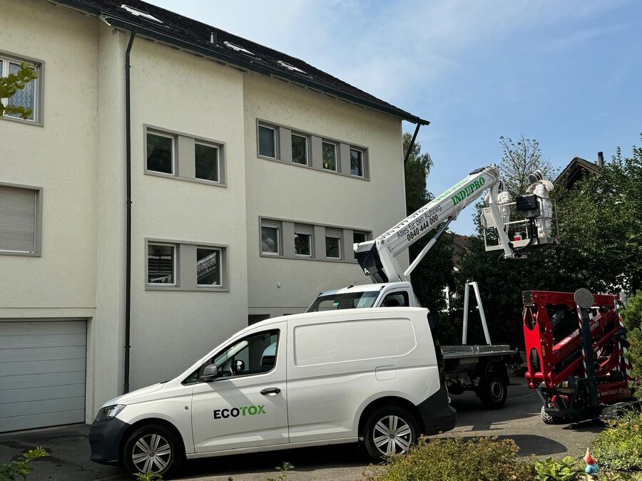 Lutte antiparasitaire Adelboden