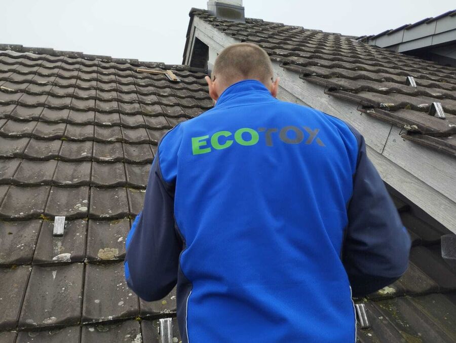 exterminateur nuisibles ecotox fribourg de lit geneve