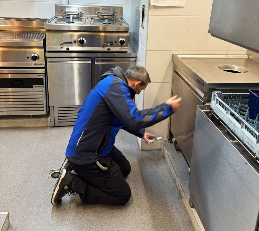 Acariens de la farine, lutter contre les acariens de la farine